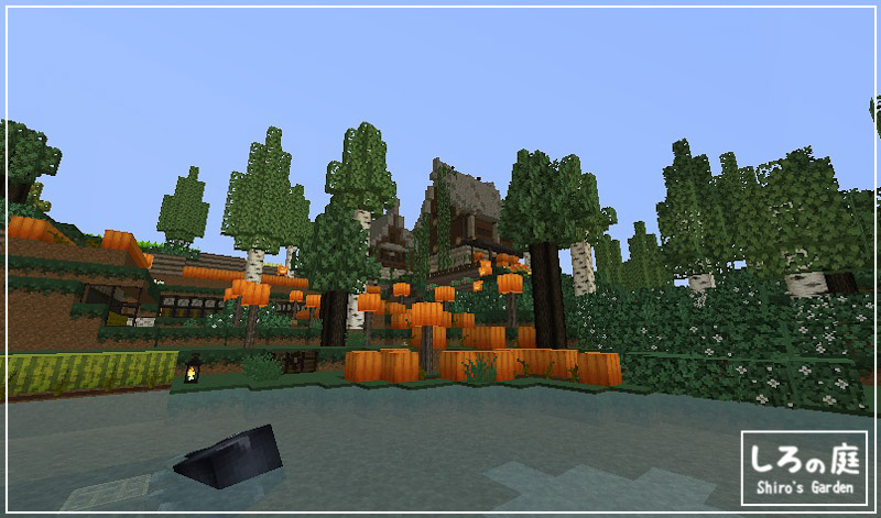 build,pumpkin