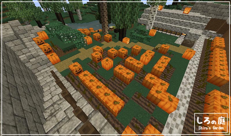 build,pumpkin