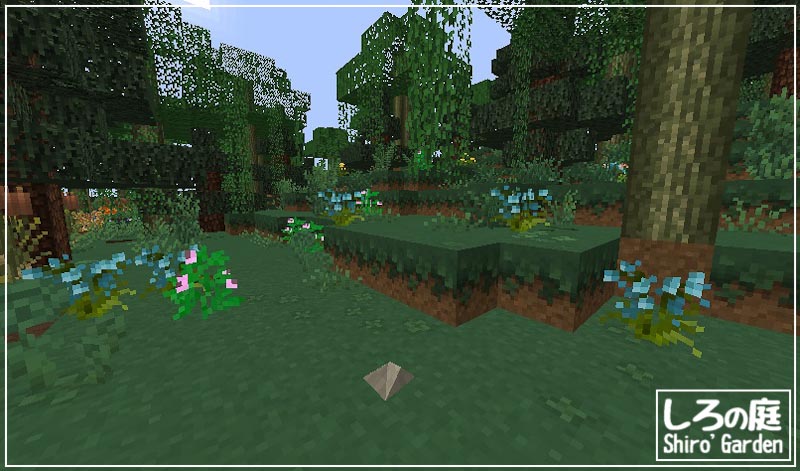 湿地をみつけて花自動装置を作る Minecraft しろの庭 しろがマインクラフトで遊ぶブログ